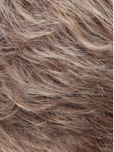 Load image into Gallery viewer, PONYTAIL SPRING CLIP
