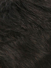Load image into Gallery viewer, PONY TIE