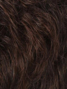 PONYTAIL SPRING CLIP