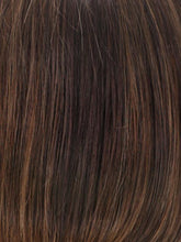 Load image into Gallery viewer, PONYTAIL SPRING CLIP